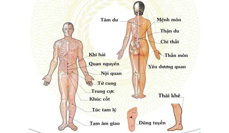 các huyệt đạo