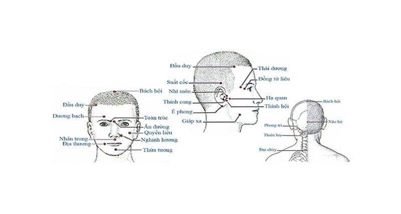 các kinh lạc