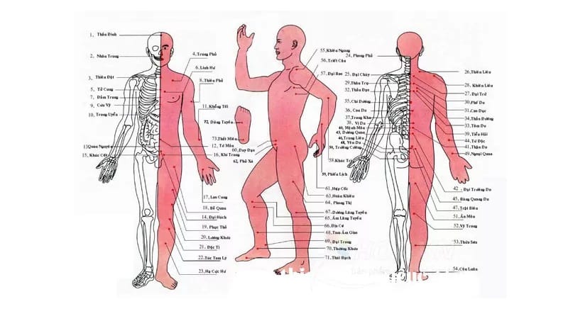 đả thông kinh mạch
