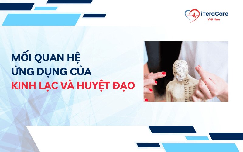 kinh lạc và huyệt đạo