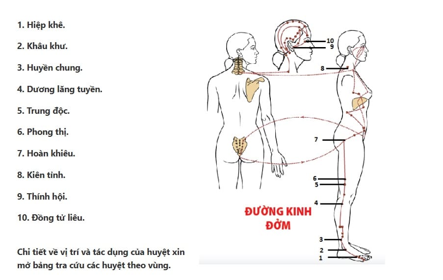 Hình đường kinh đởm