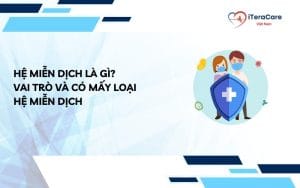 hệ miễn dịch là gì