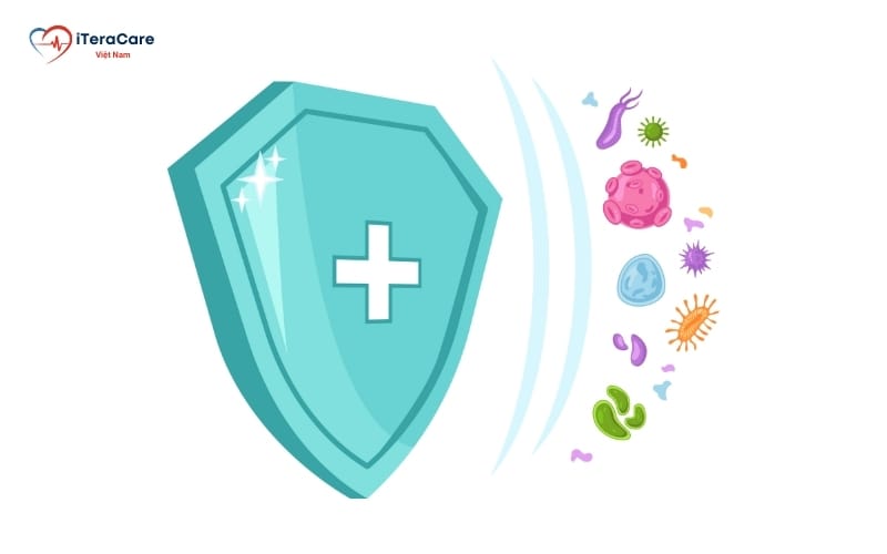 hệ miễn dịch thụ động