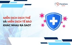 miễn dịch dịch thể và miễn dịch tế bào