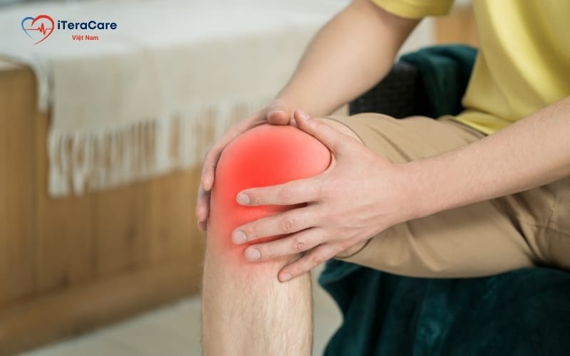 chữa dây chằng đầu gối bằng ngải cứu