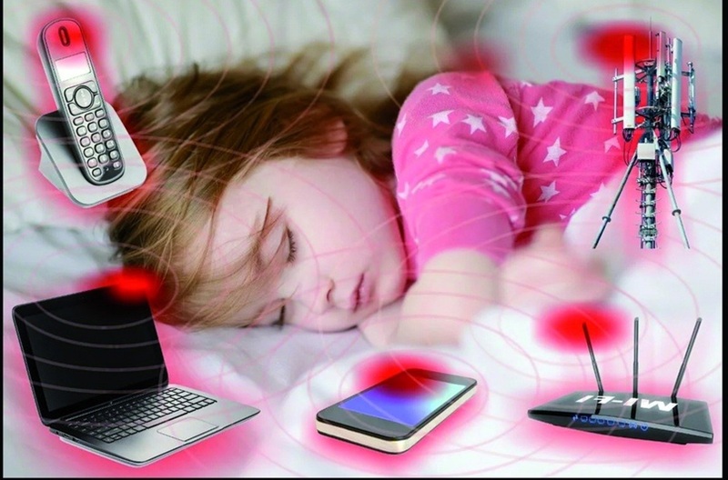 bảo vệ sức khỏe từ trường